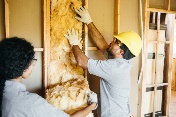 Best Blown-in Insulation  in Fairport, NY
